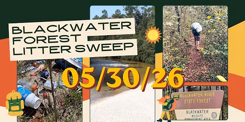 \ud83c\udf32 BLACKWATER FOREST LITTER SWEEP \ud83c\udf32 