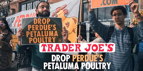 Trader Joe's: Drop Perdue's Petaluma Poultry Protest