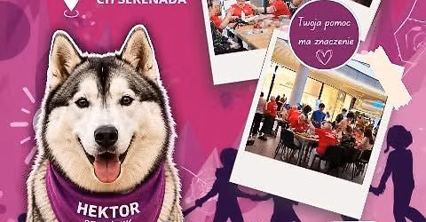Mi\u0119dzypokoleniowa Akademia Wakacyjna