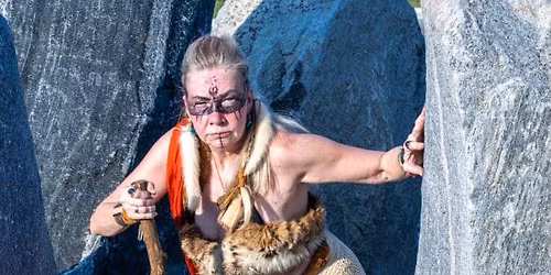 The Viking Expierience