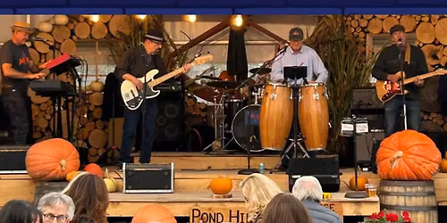 Live Music by Jelly Roll Blues Band