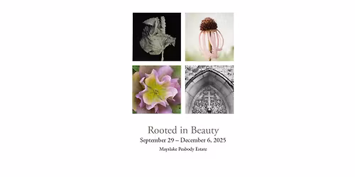 Art Exhibit: Rooted In Beauty