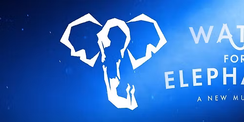 Parking Water For Elephants - New Orleans