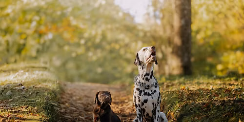 Paws & Paths: A Closing Celebration Hike