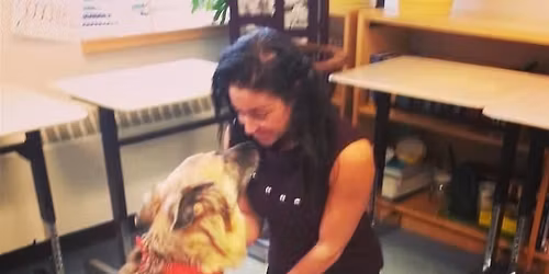 Companion Animal Reiki 1