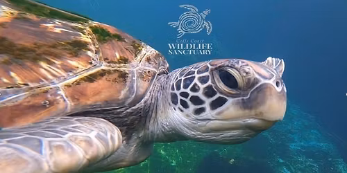 Rescue Volunteer Workshop \u2013 22 November 2025 