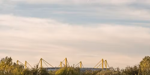 BVB - VfB Stuttgart