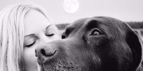 Hundefreundetreffen "S\u00fcsser als Schokolade"
