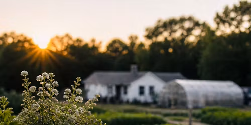 Mixology 101: Garden to Glass at Finley Farms