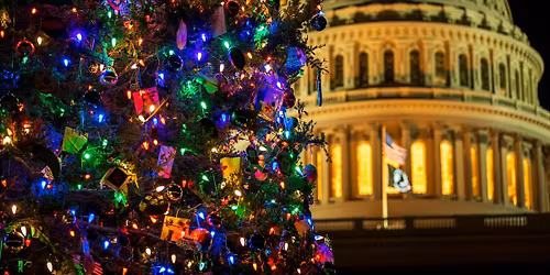 Limousine, Luxury and Lights: Holiday Limo Tour of the Festive Lights