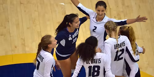 Parking UC Davis Aggies at Long Beach State Womens Volleyball