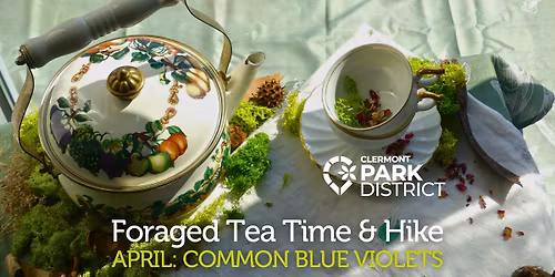 Foraged Tea Time & Hike: Common Blue Violets