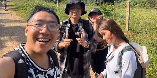 74A: Madagui Adventure: Discovering Mysterious Forests