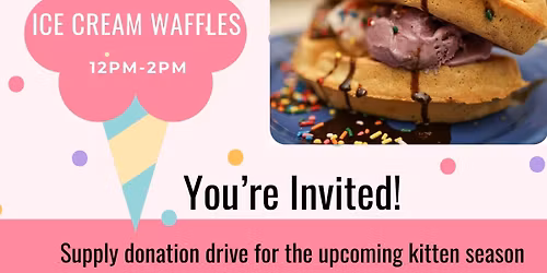 Kitten Shower + Ice Cream Social Fundraiser!