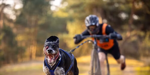Fastdog Canicross ,step en bike wedstrijd Bruinisse 