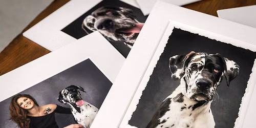Studio Dog Portrait Sessions | June 20 | Londonderry