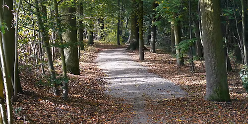 Wanderung: Aff\u00e9 und Oine \u2013 Geschichtn rund um an Egidiberg
