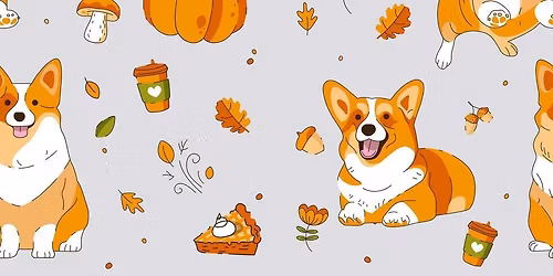 November Indoor Corgi Meet Up at Stylin Paws Play Place