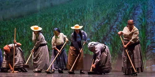Numa Noite o Ano Inteiro - Federa\u00e7\u00e3o das Coletividades de Cultura e Recreio do Concelho de SMF