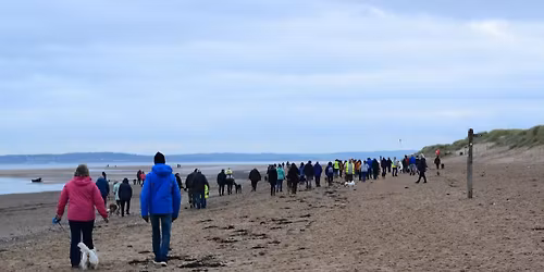 Almost Home Pack Walk