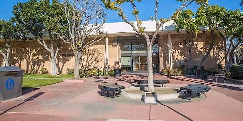 Free Digital Skills Training Session at Paramount Library