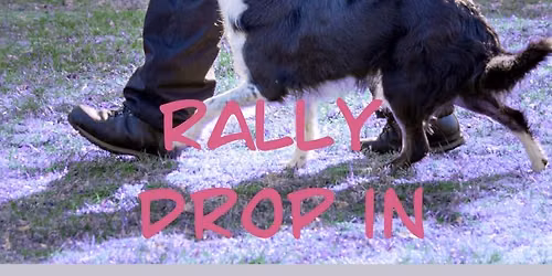 Rally Drop In Practice