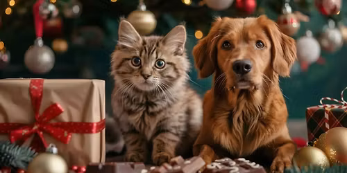 MARCHE DE NO\u00cbL - MONS COEUR EN NEIGE