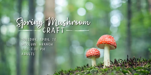 Spring Mushroom Craft (for adults) @ McClure Branch 