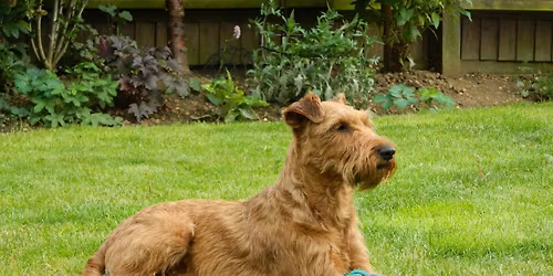 Members Only Limited Show