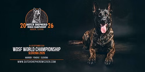 WDSF World championship Slovenia 2026 — PLAY GREEN