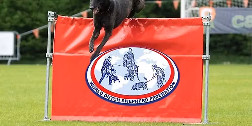 WDSF World championship Slovenia 2026