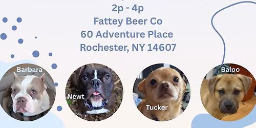 Adoption Meet & Greet at Fattey Beer Co