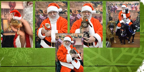 Photos with Santa