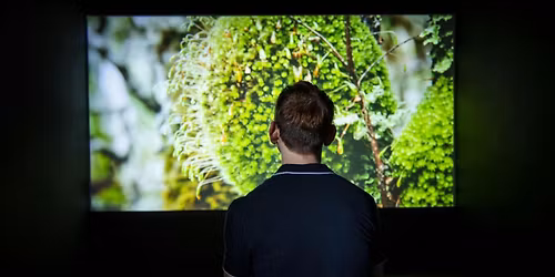 CURATOR TALK: POSTWORLD