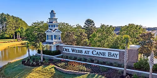 Del Webb Cane Bay Yard Sale