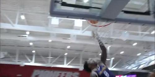 UAlbany Great Danes at Sacred Heart Pioneers Womens Basketball