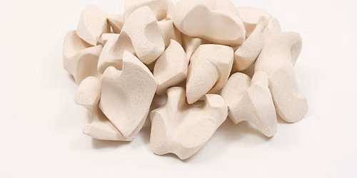 ARID ECHOES | AN EVENING WITH SCULPTOR ERIN MCGUINESS