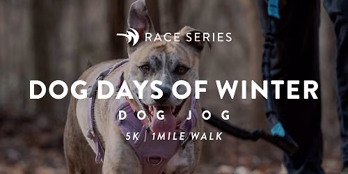 Dog Days of Winter Dog Jog