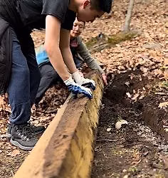 GCC:  Check Steps and Invasive Species Removal