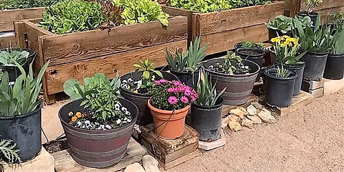Raised Bed and Container Gardening