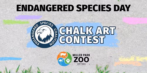 Endangered Species Coalition Chalk Art Contest