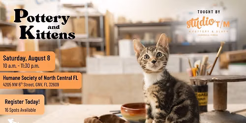 Pottery and Kittens