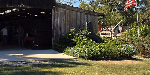 Henry's Home- Horse and Human Sanctuary