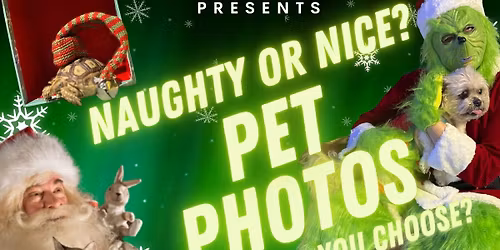 Central Purr Christmas Pet Photos