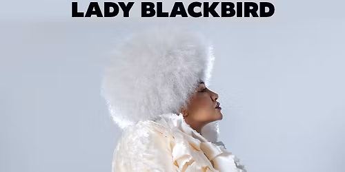 Lady Blackbird