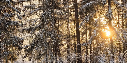 Wim Hof Method Weekend & Yoga