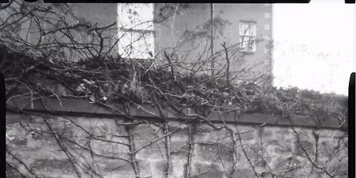 Pinhole Photography Workshop