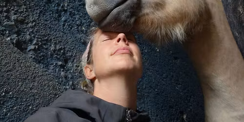 Ro og refleksjon - i n\u00e6rv\u00e6r av hesten