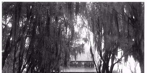 History of Foxbank Plantation