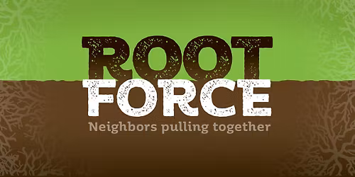 Buckthorn Busting near Peabody Park